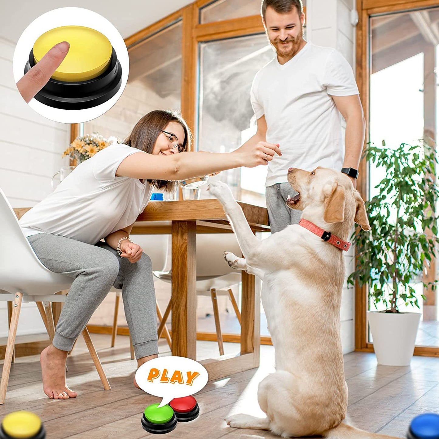 Amazon Pet Communication Button Dog Talking Interactive Training Sound Button Recording Sound Device Squeeze Box