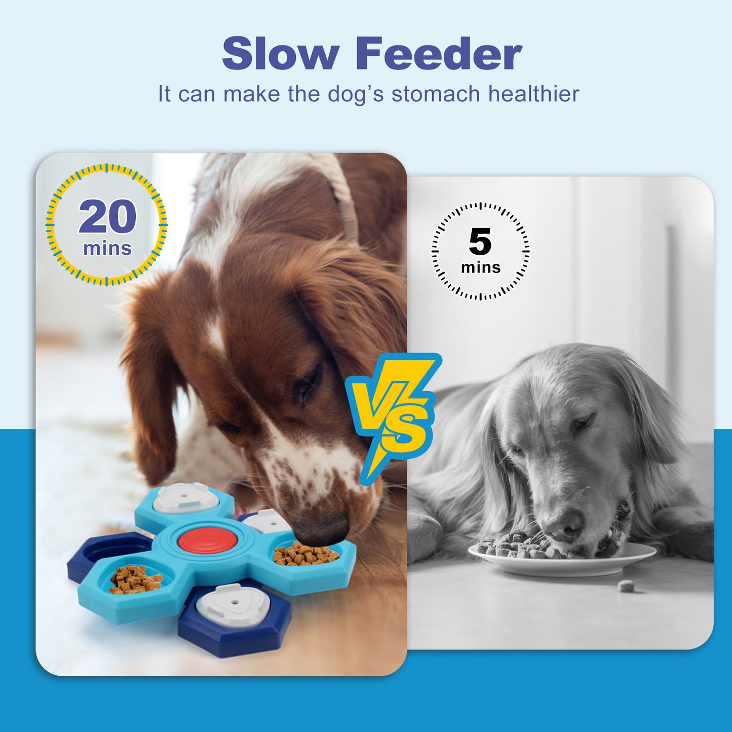 Amazon New Multi-layer Rotating Turntable Slow Feeder Training Dog Toy