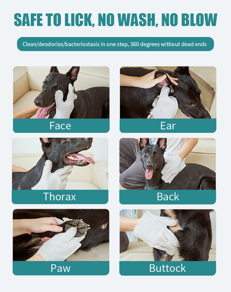 TK Amazon Cross-Border New Pet Disposable Gloves Single Pack Portable Cleaning for Dogs and Cats