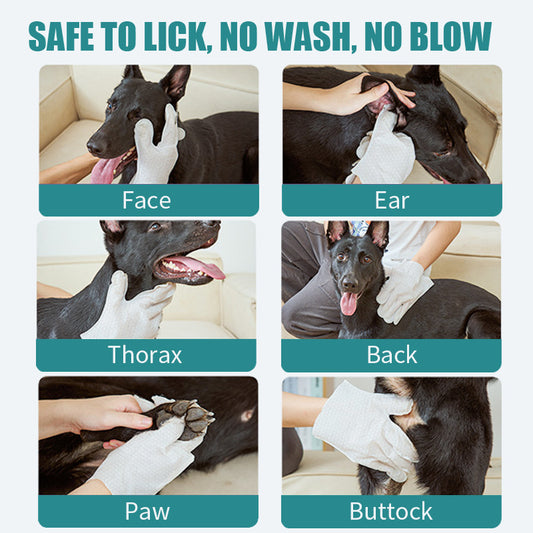 TK Amazon Cross-Border New Pet Disposable Gloves Single Pack Portable Cleaning for Dogs and Cats