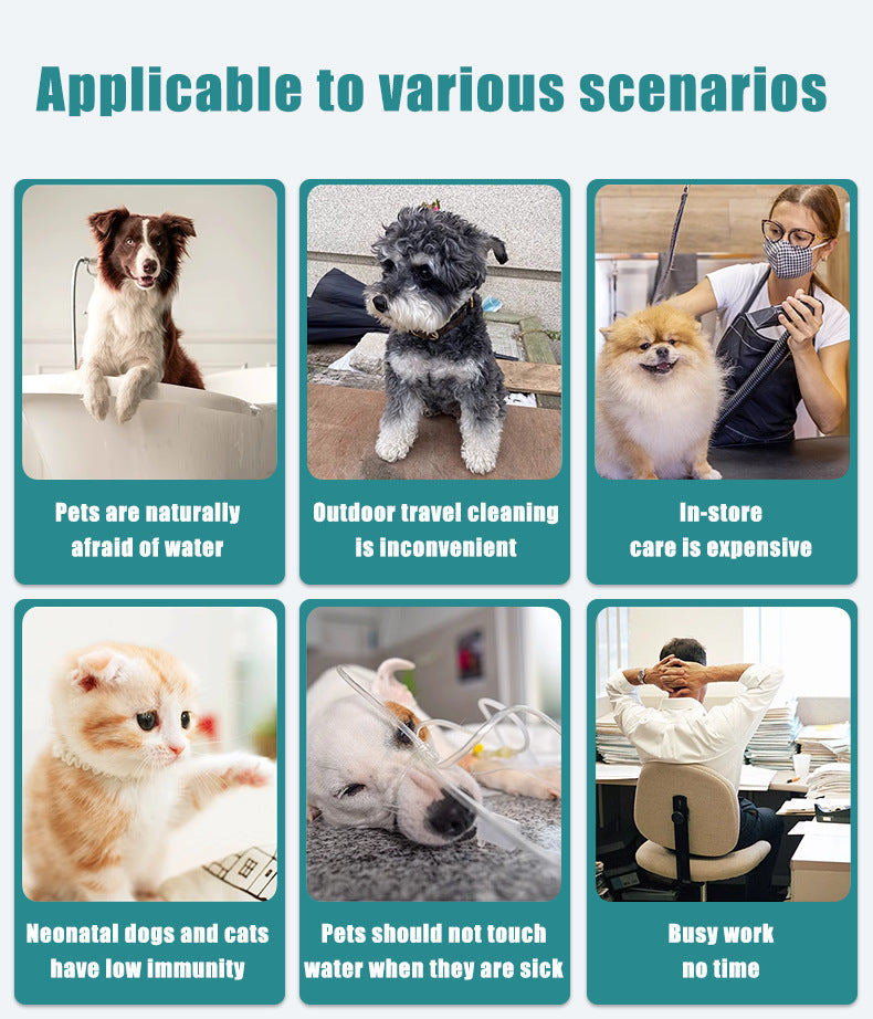 TK Amazon Cross-Border New Pet Disposable Gloves Single Pack Portable Cleaning for Dogs and Cats